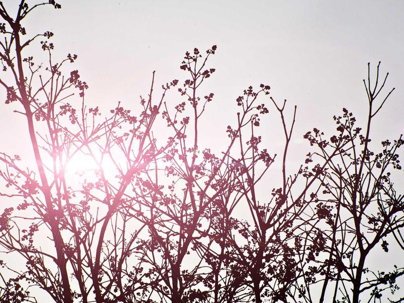 sudoku logic solving