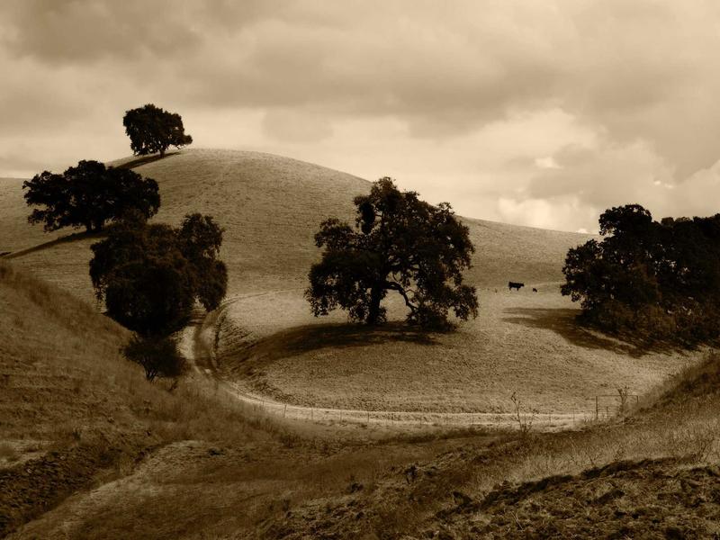 sudoku logic solving screenshot 1