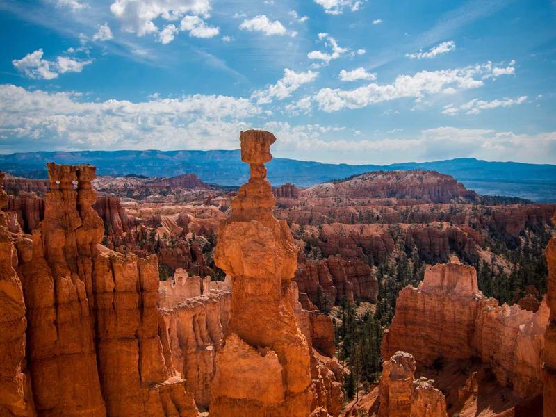 contact screenshot 1